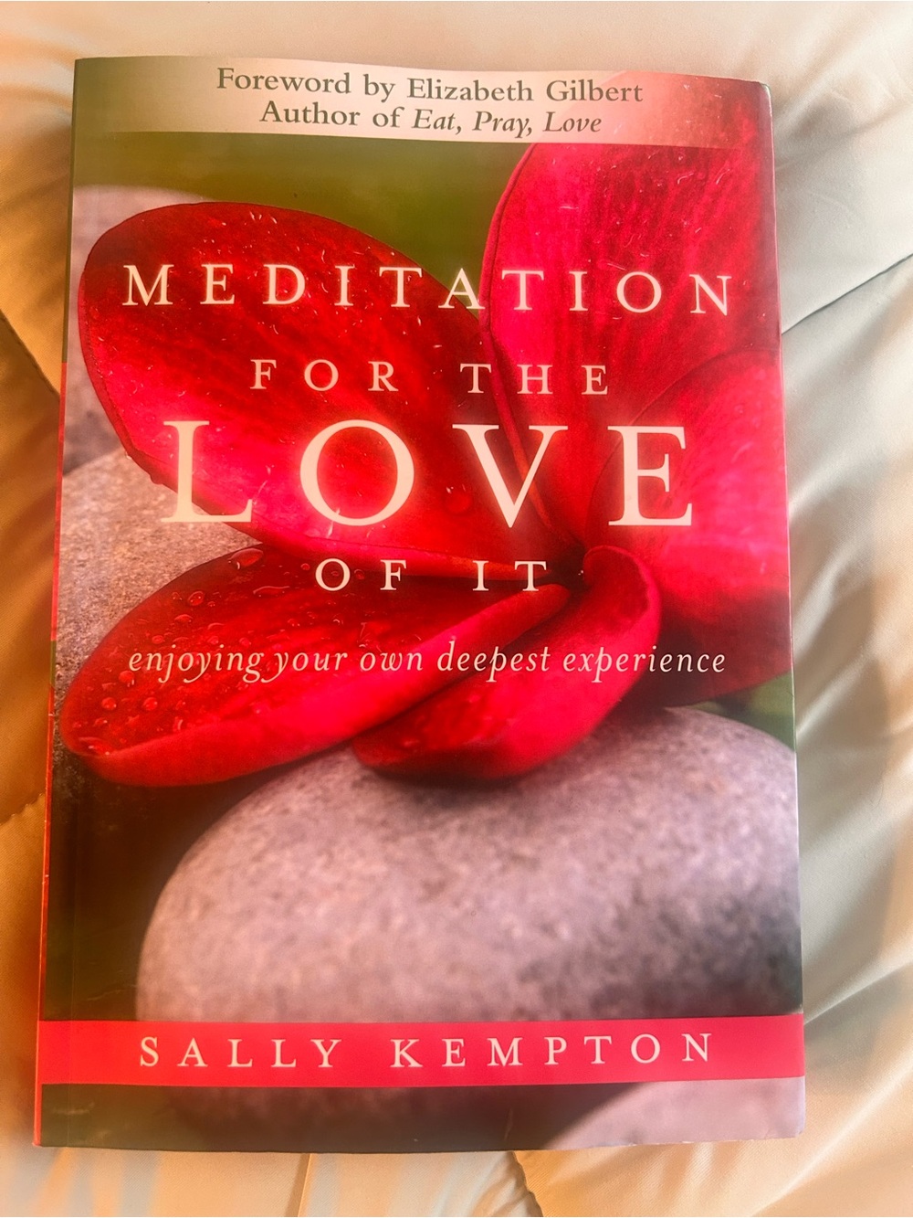 Meditation for the Love of It — Red Cover by
